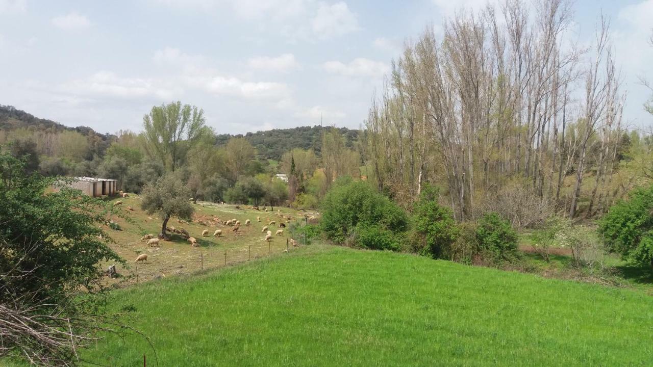Casa Rural El Jardin Del Hueznar San Nicolás del Puerto Kültér fotó